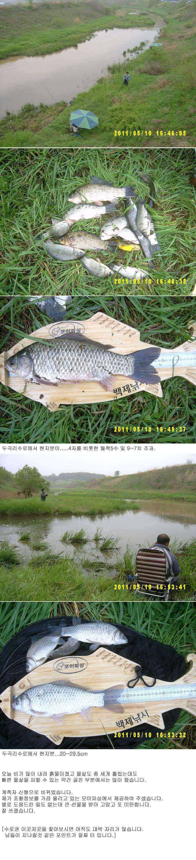 부여권 수로는 아직도 4자가 보입니다 (조황조행기 - 특파원조황)