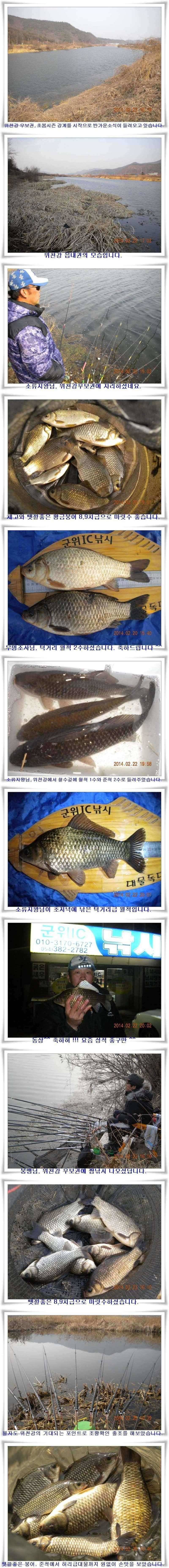 시즌시작 허리급까지 마릿수 (조황조행기 - 특파원조황)
