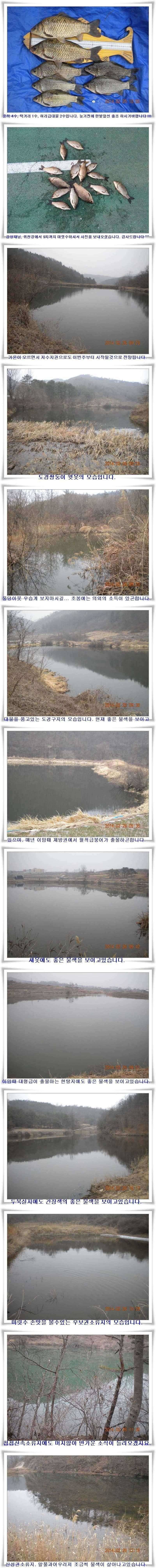시즌시작 허리급까지 마릿수 (조황조행기 - 특파원조황)