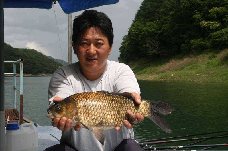충주호 목벌서 나온 4짜급 대물 (조황조행기 - 특파원조황)