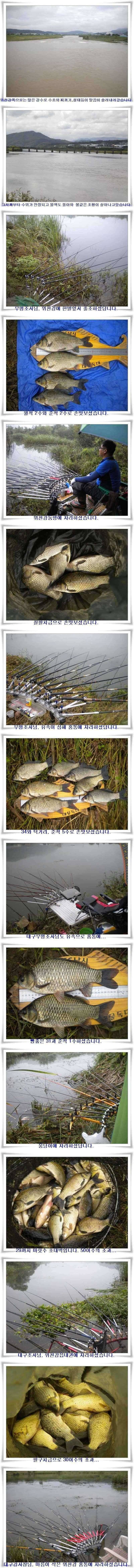 떼월척과 대물39쌍둥이 (조황조행기 - 특파원조황)