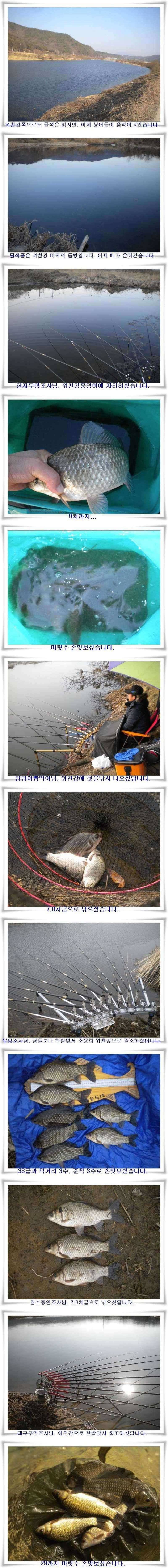 시작을 알리는 한발앞선 조황 (조황조행기 - 특파원조황)