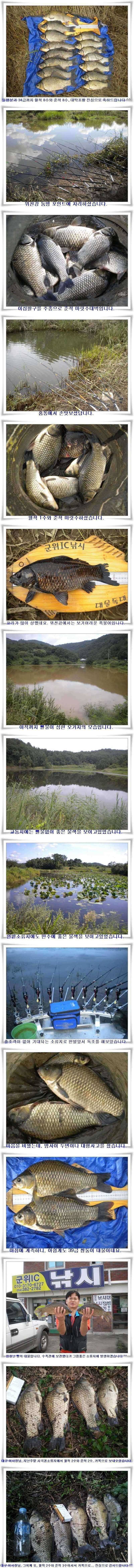 떼월척과 대물39쌍둥이 (조황조행기 - 특파원조황)