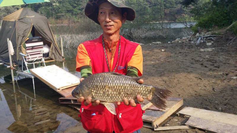 추평지 42cm 대물붕어 서운리 솔낚시터 소식입니다 (조황조행기 - 특파원조황)