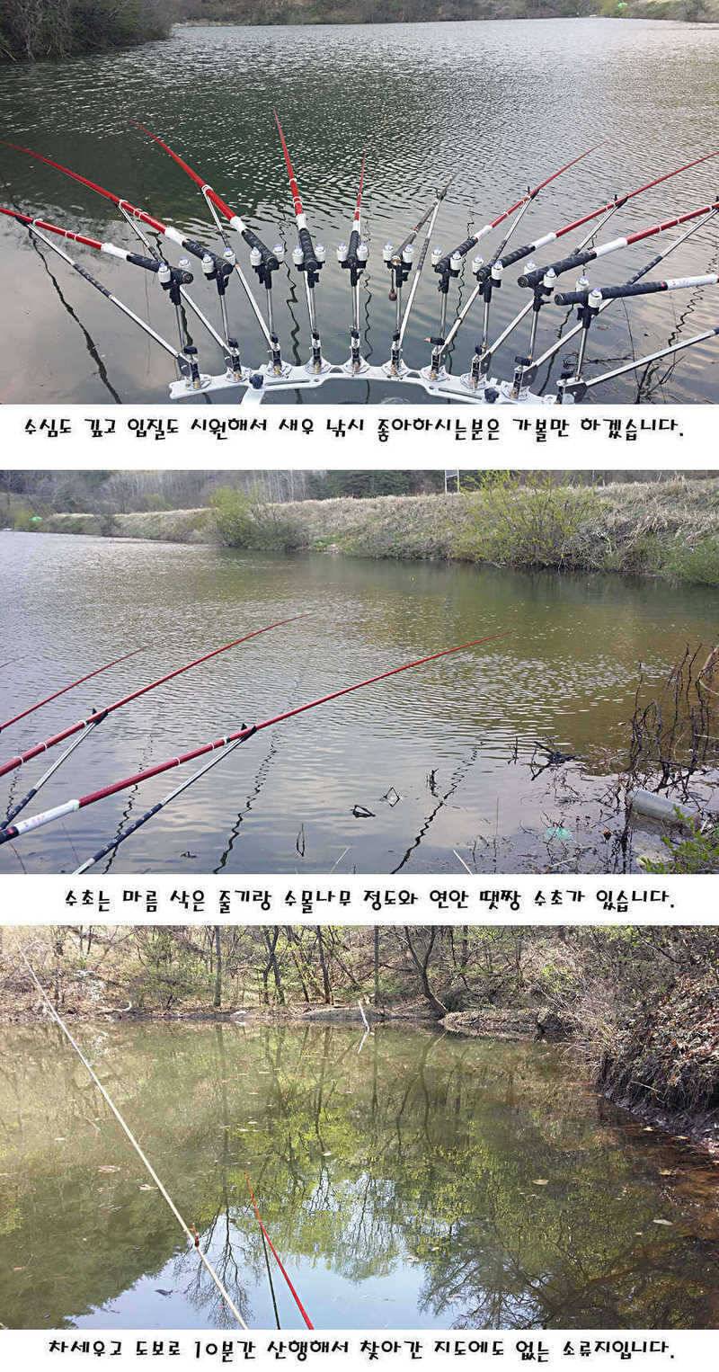 청도권 전반적으로 호조황입니다 (조황조행기 - 특파원조황)