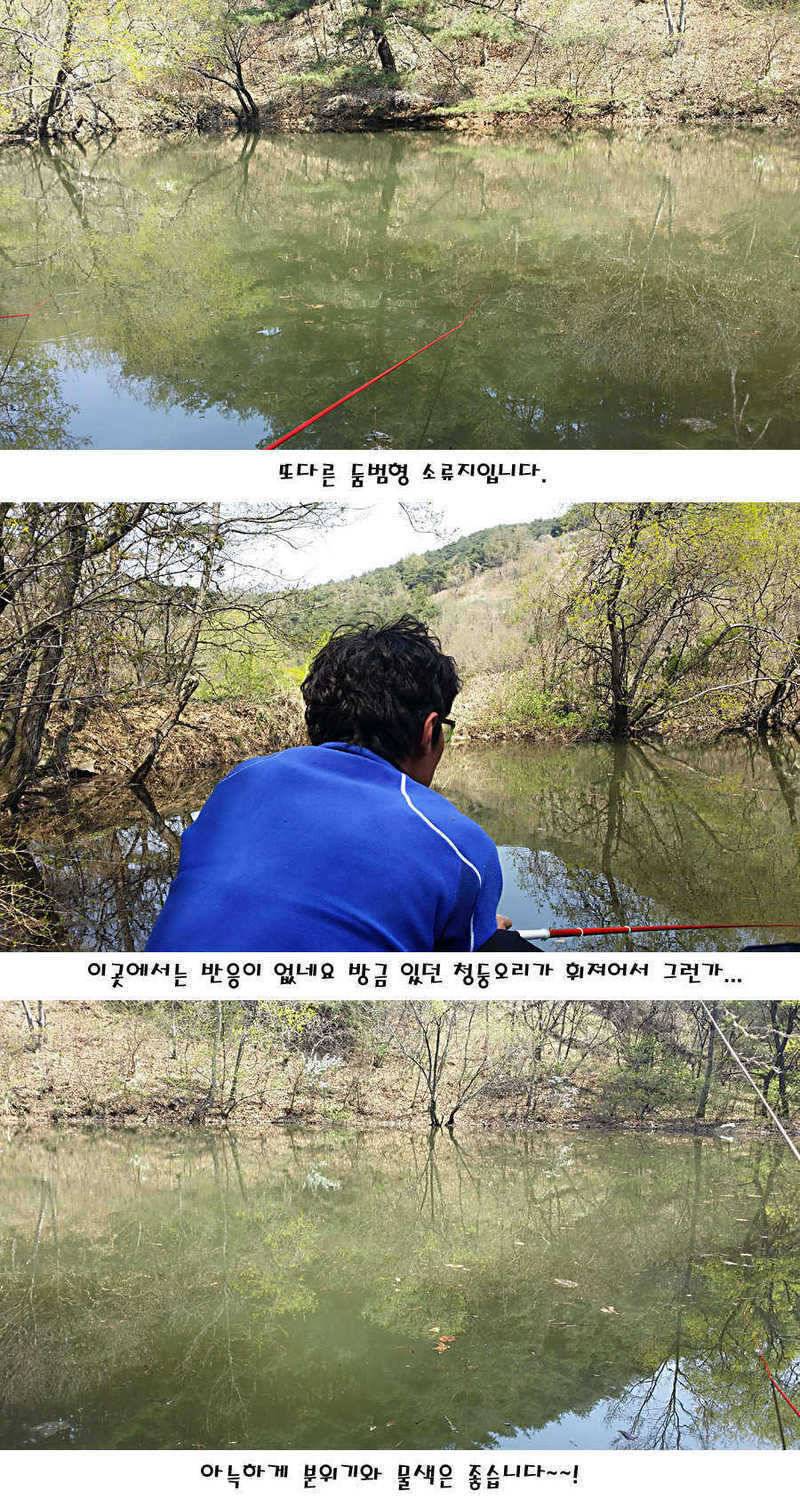 청도권 전반적으로 호조황입니다 (조황조행기 - 특파원조황)