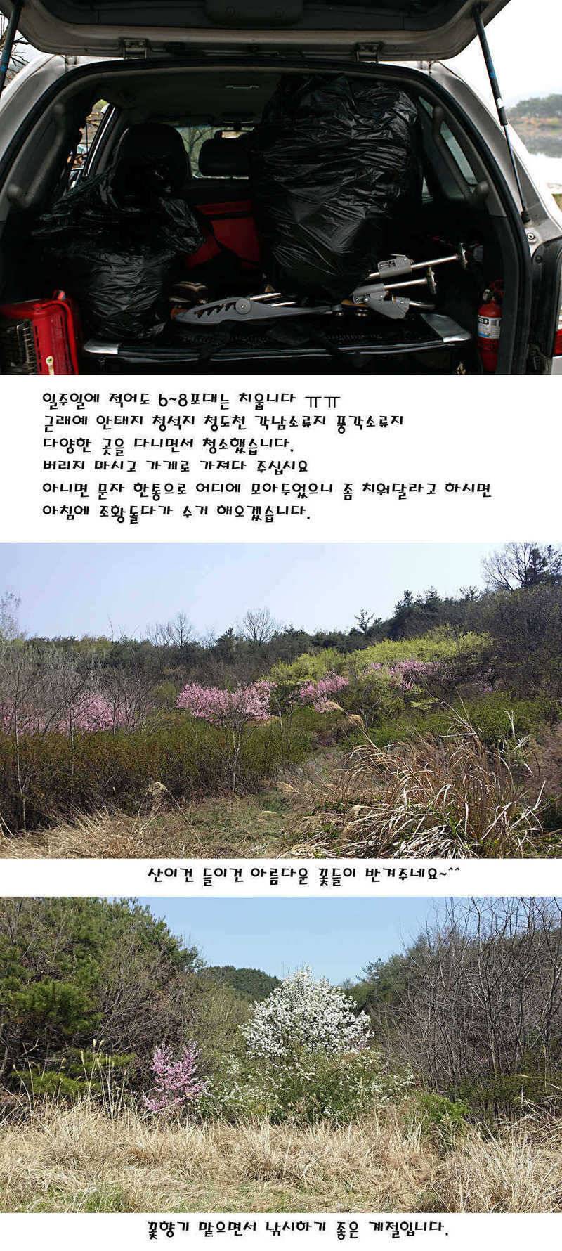 청도권 전반적으로 호조황입니다 (조황조행기 - 특파원조황)
