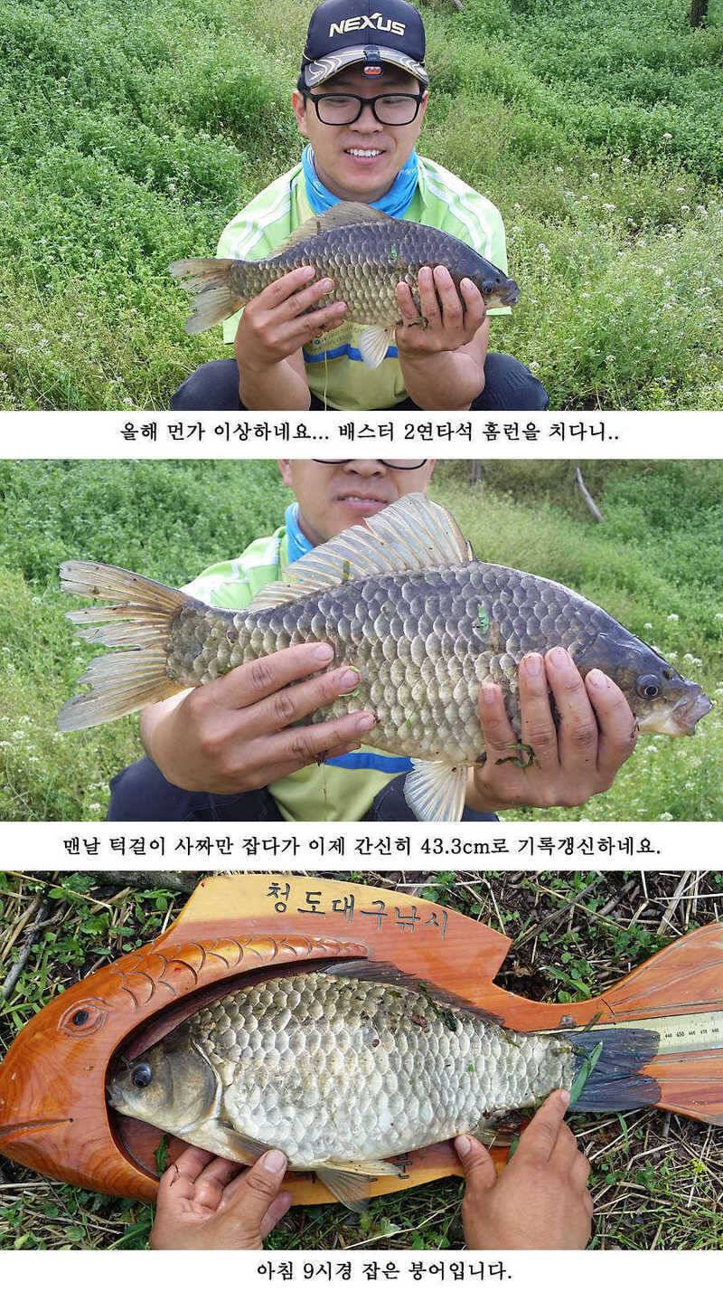 지난주 청도권 대물 대박 터지네요 (조황조행기 - 특파원조황)