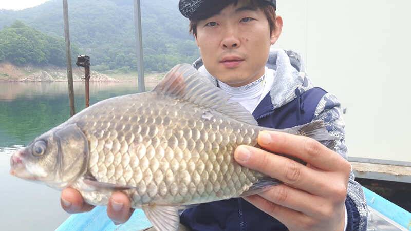 목벌낚시터 붕어 조황소식 (조황조행기 - 특파원조황)