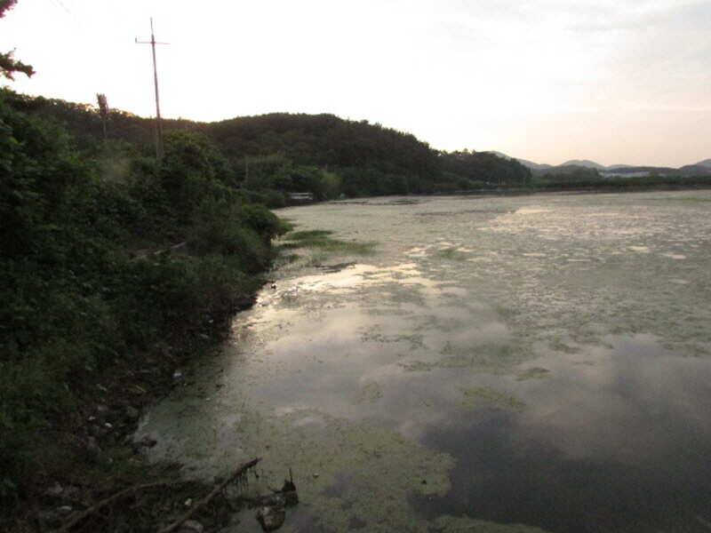 6월2째주 조황 입니다 (조황조행기 - 특파원조황)