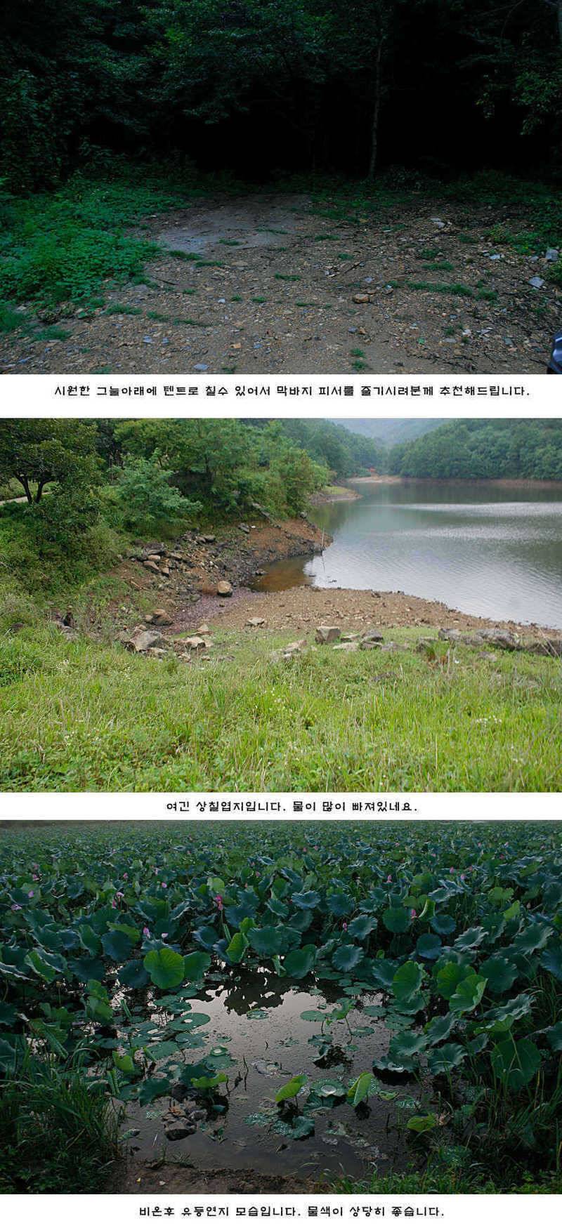 청도권 주중 조황 (조황조행기 - 특파원조황)