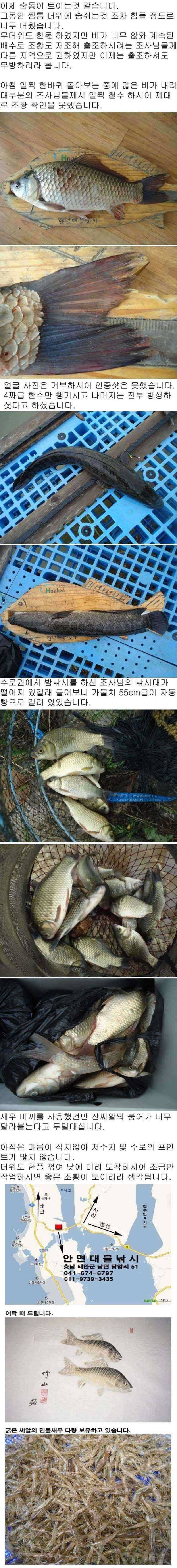 812 안면도권 저수지 및 수로 주말 조황 (조황조행기 - 특파원조황)