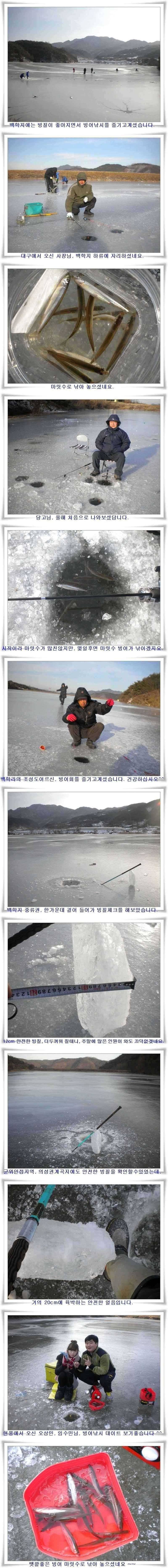 경북 빙어 붕어 얼음낚시 (조황조행기 - 특파원조황)