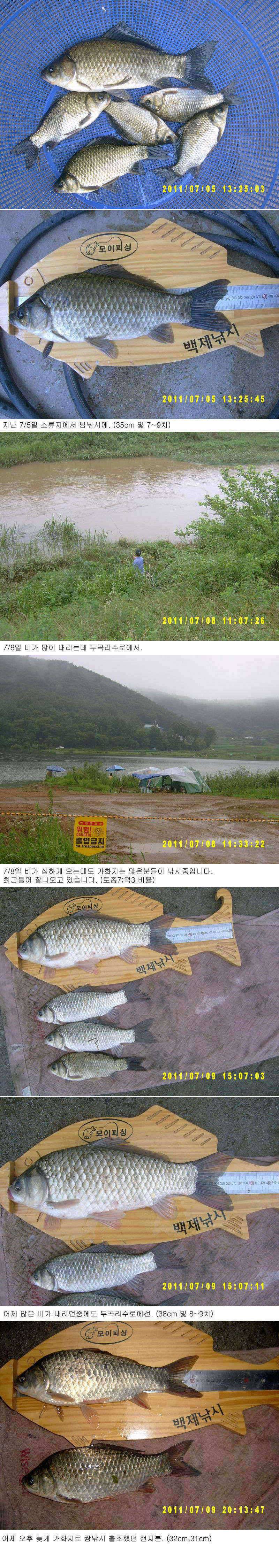 부여권 조황 (조황조행기 - 특파원조황)