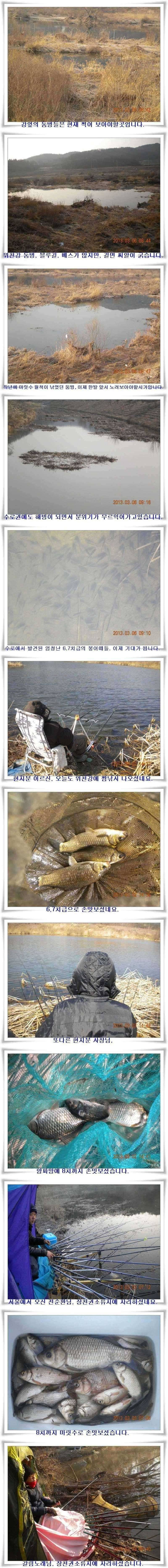 한발앞선 월척과 마릿수 조황 (조황조행기 - 특파원조황)