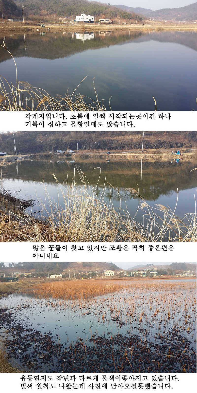 청도권 봄소식입니다 (조황조행기 - 특파원조황)