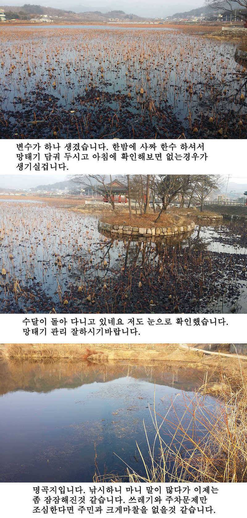 청도권 봄소식입니다 (조황조행기 - 특파원조황)
