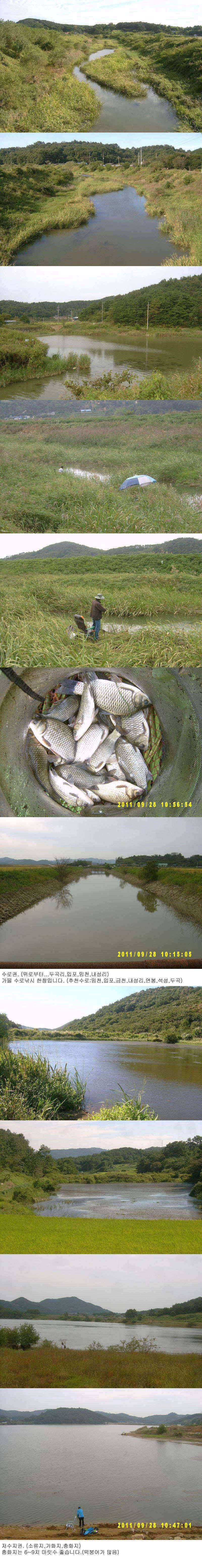 수로권 가을낚시 한창 (조황조행기 - 특파원조황)