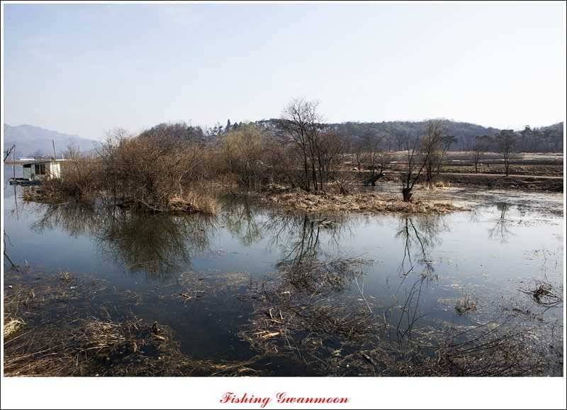 칠성지 사짜화곡지 달천강 월척 (조황조행기 - 특파원조황)