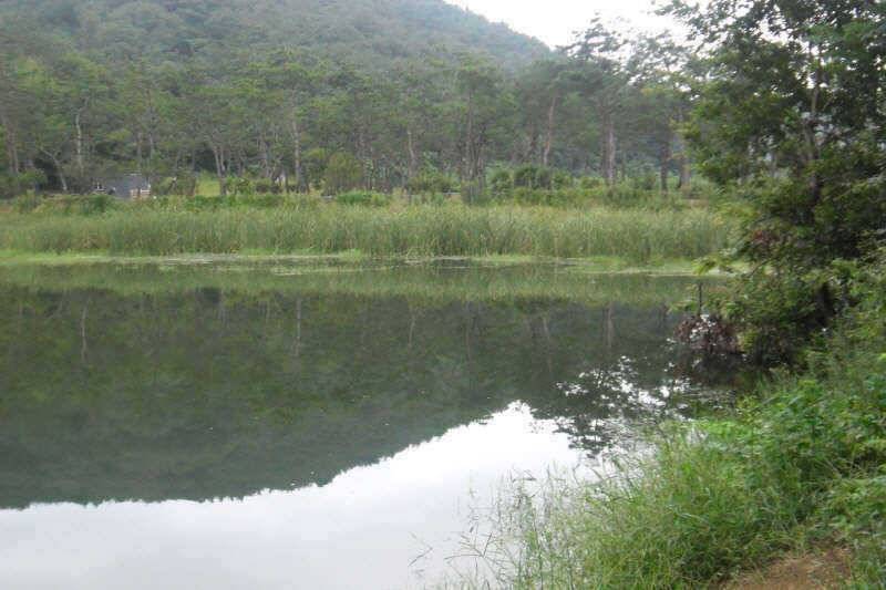 악조건의낚시 (조황조행기 - 특파원조황)