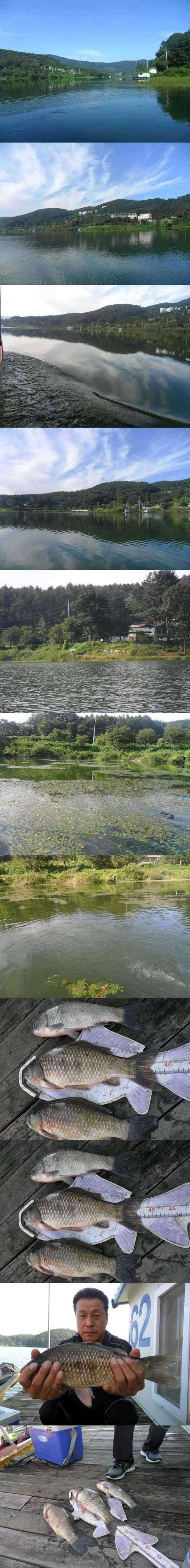 덕산지 오랜만에 보는 대물들 (조황조행기 - 특파원조황)