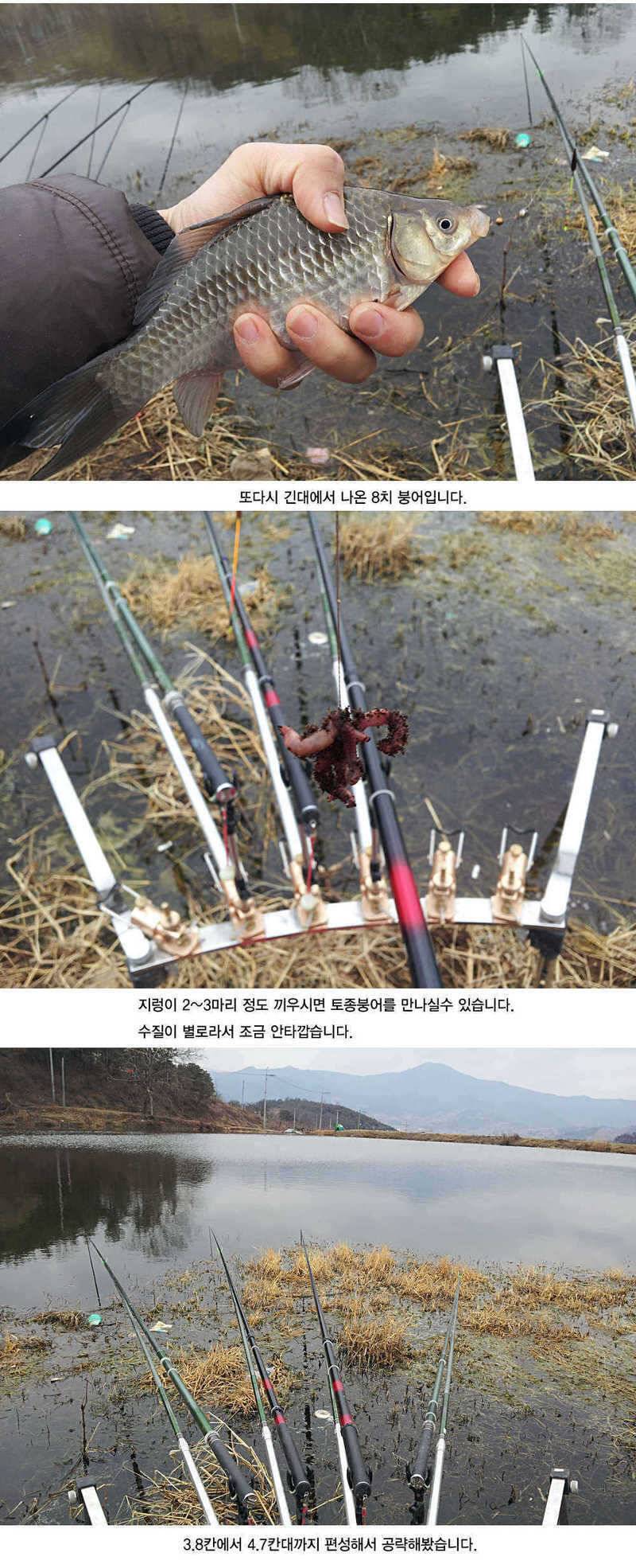 청도권 본격적인 밤낚시 시즌입니다 (조황조행기 - 특파원조황)