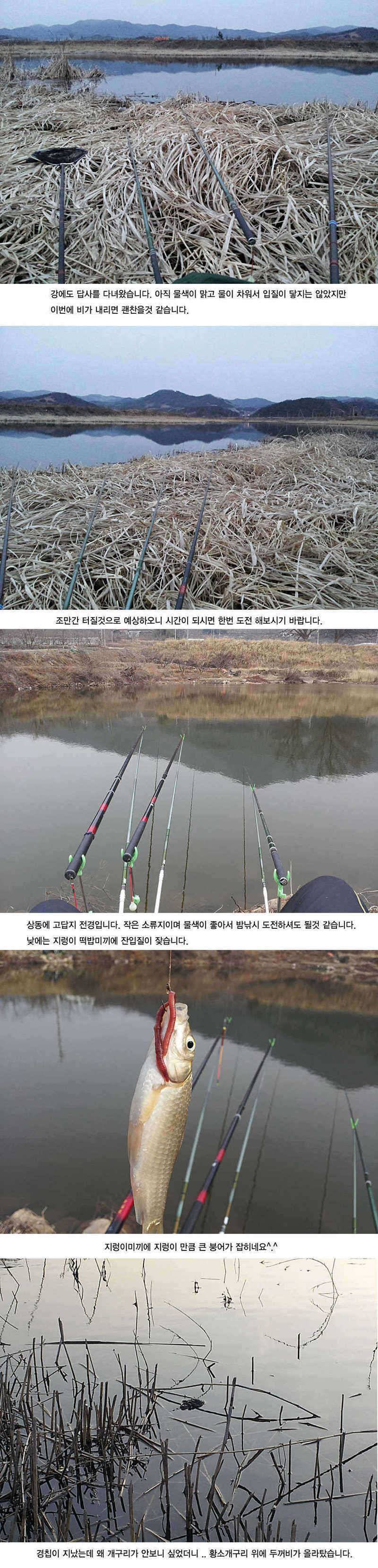 청도권 본격적인 밤낚시 시즌입니다 (조황조행기 - 특파원조황)