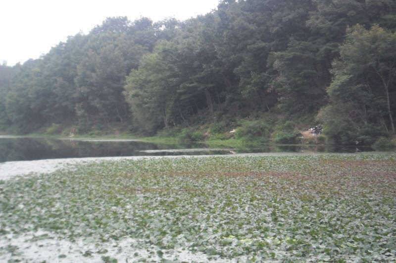악조건의낚시 (조황조행기 - 특파원조황)