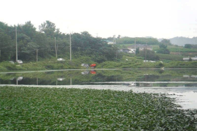 악조건의낚시 (조황조행기 - 특파원조황)