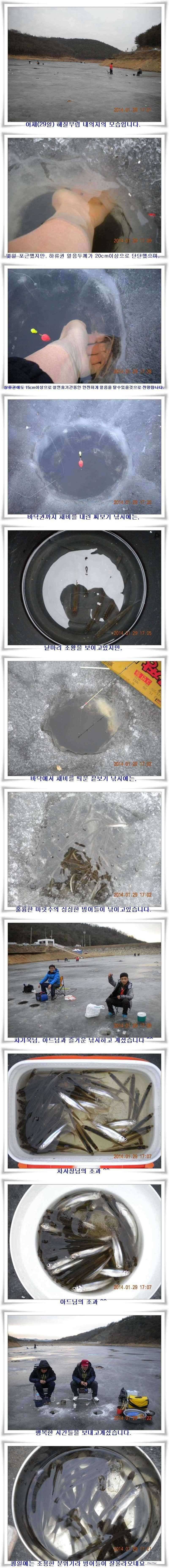 설연휴에 가족빙어낚시를 (조황조행기 - 특파원조황)