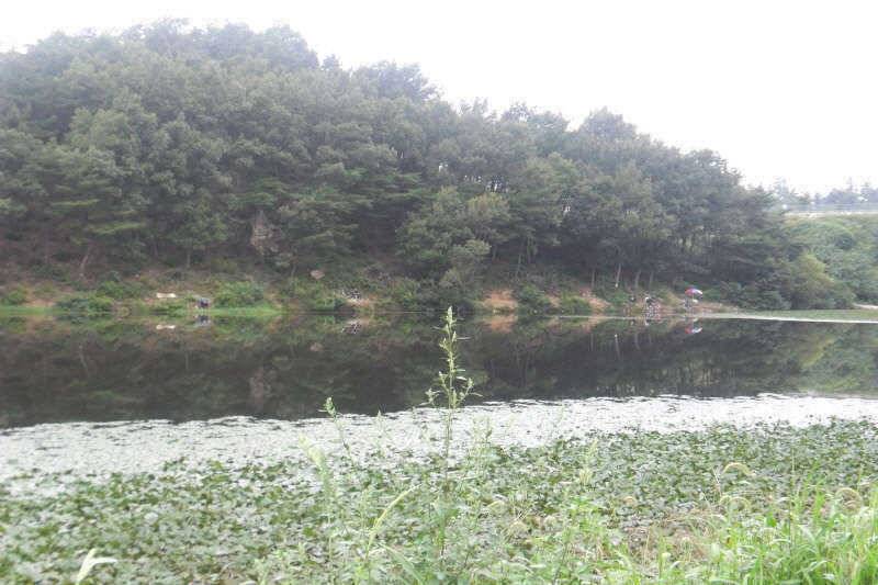 악조건의낚시 (조황조행기 - 특파원조황)