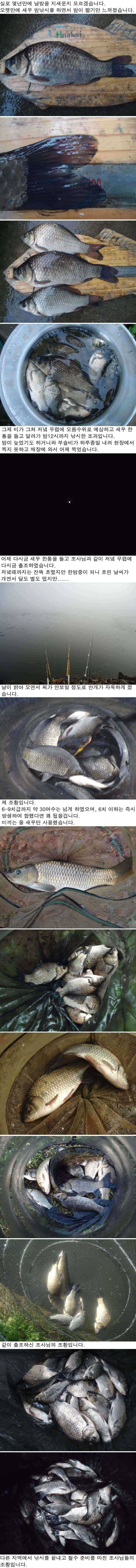 530 안면도권 저수지 새우 밤낚시 호조황 (조황조행기 - 특파원조황)
