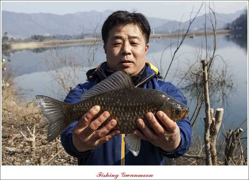 칠성지 사짜화곡지 달천강 월척 (조황조행기 - 특파원조황)