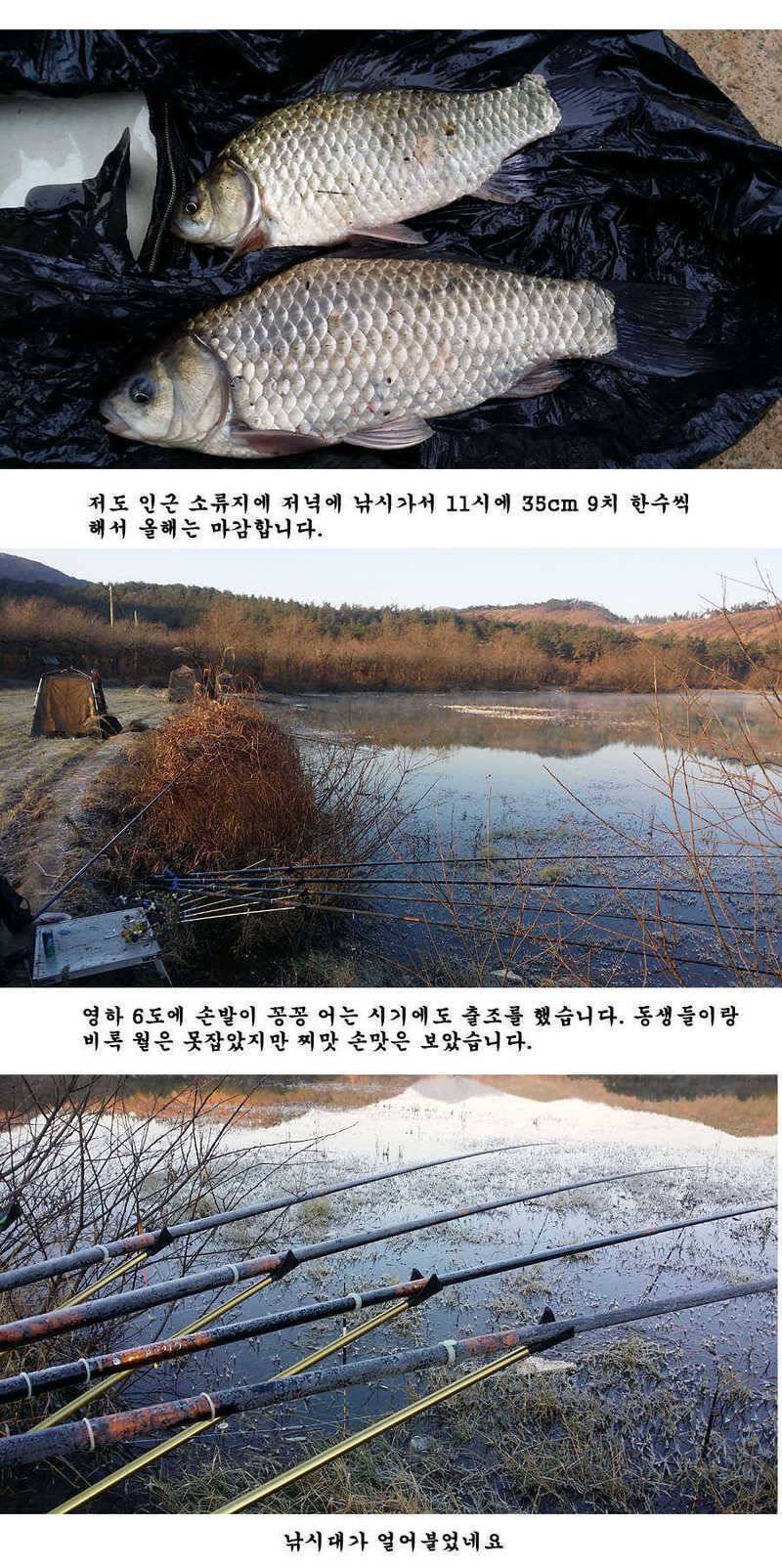 지난 청도권 조황 및 납회 (조황조행기 - 특파원조황)