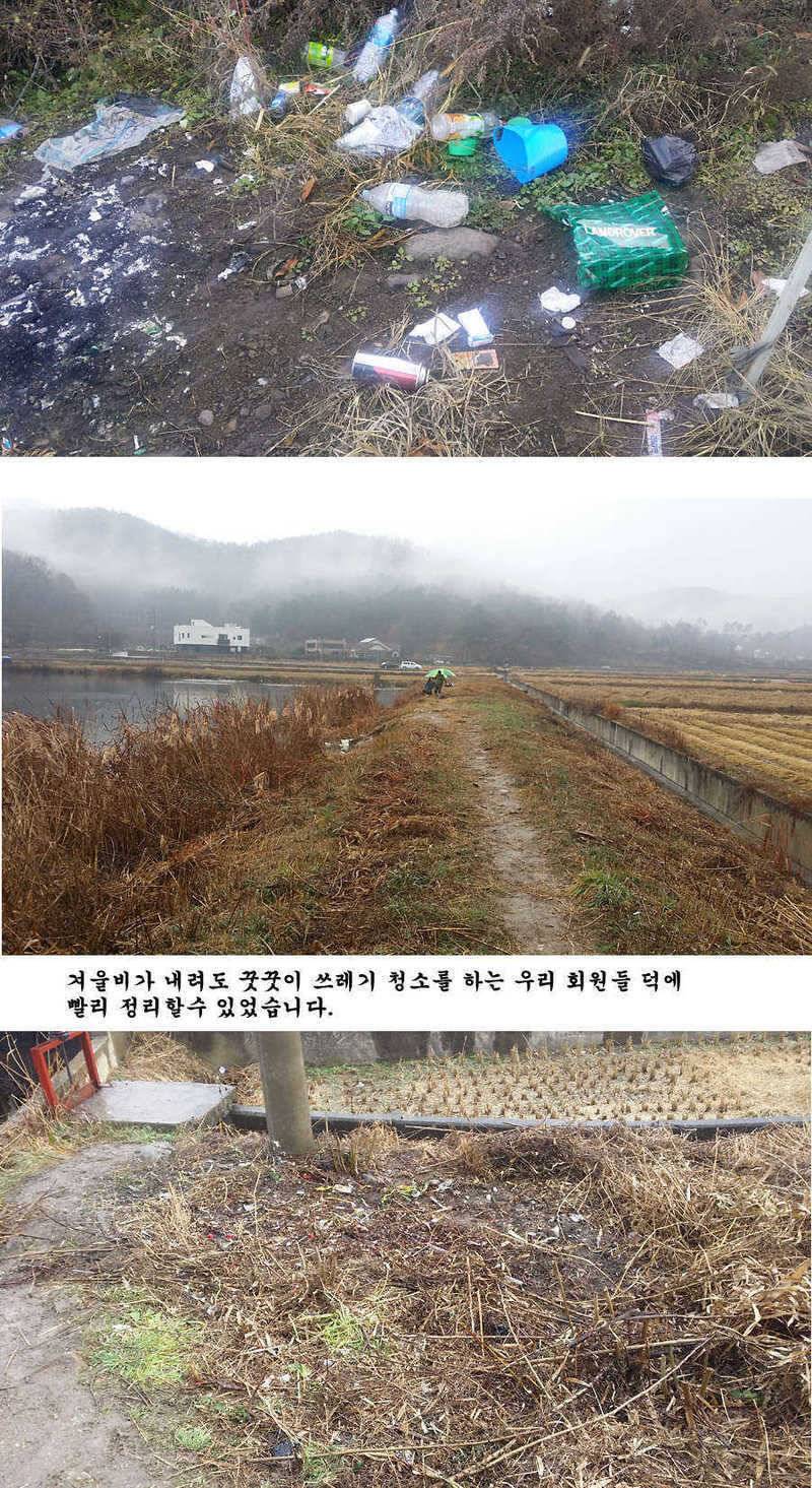 지난 청도권 조황 및 납회 (조황조행기 - 특파원조황)