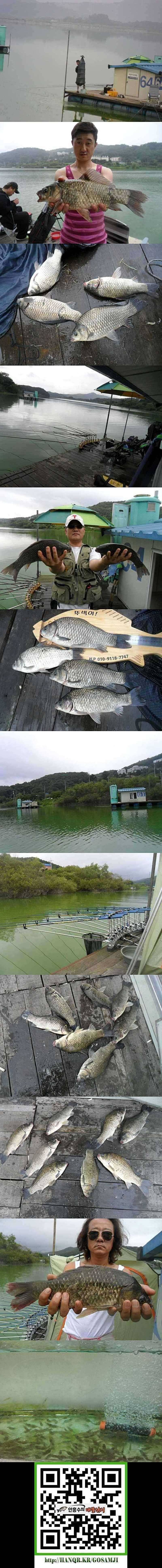덕산지 대물들의 모습 (조황조행기 - 특파원조황)