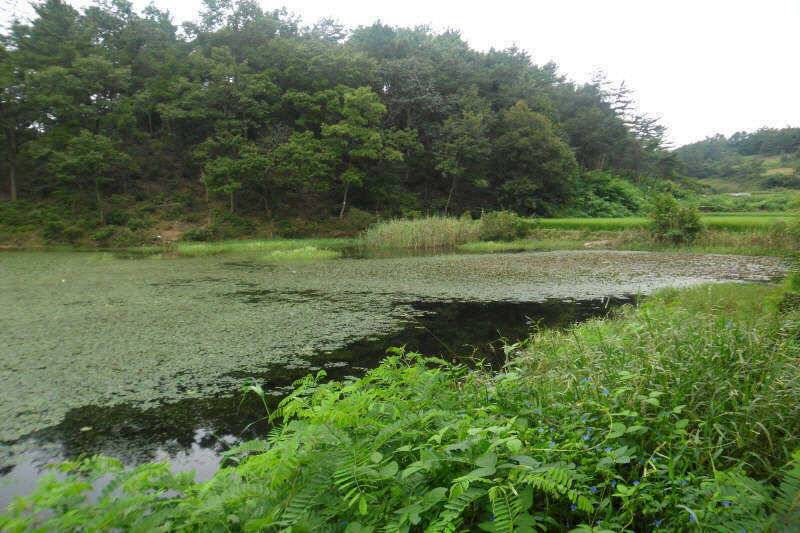 악조건의낚시 (조황조행기 - 특파원조황)
