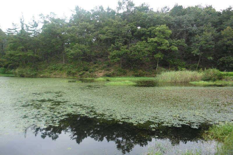 악조건의낚시 (조황조행기 - 특파원조황)