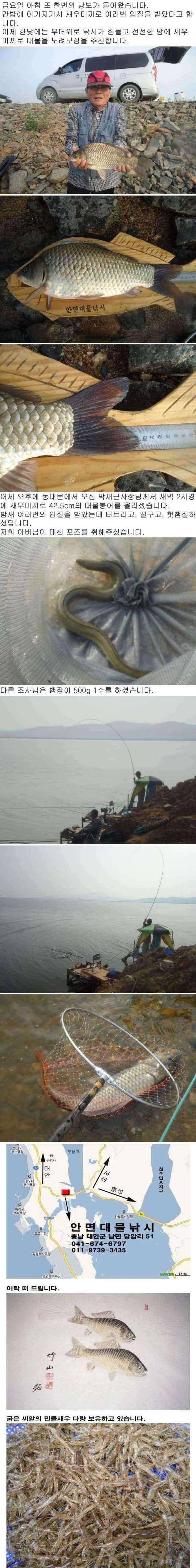 부남호 또다시 날아온 낭보 (조황조행기 - 특파원조황)