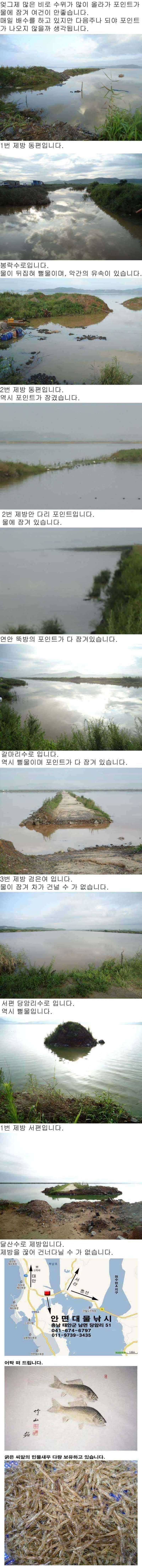 817 부남호 수위 상황 (조황조행기 - 특파원조황)