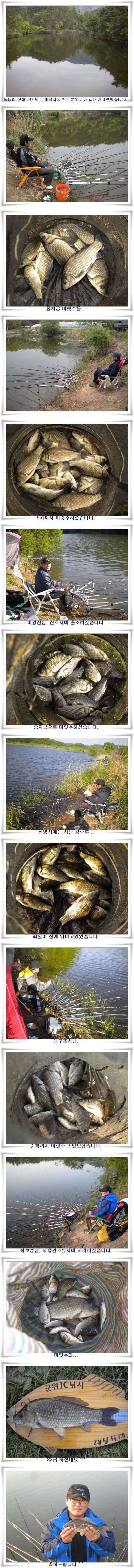 꾸준한 호조황이 (조황조행기 - 특파원조황)