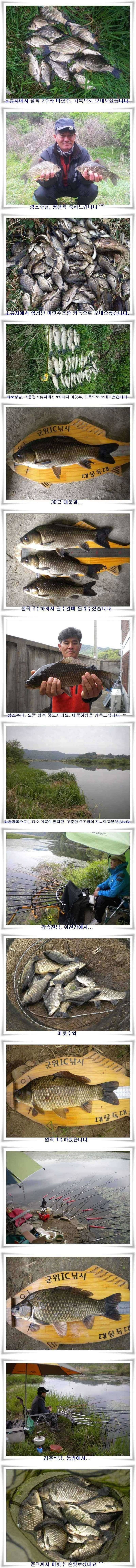 꾸준한 호조황이 (조황조행기 - 특파원조황)
