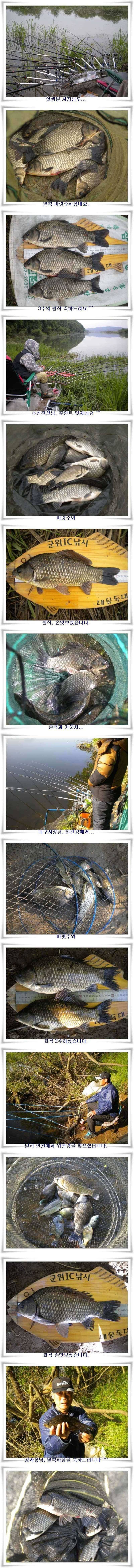 꾸준한 호조황이 (조황조행기 - 특파원조황)
