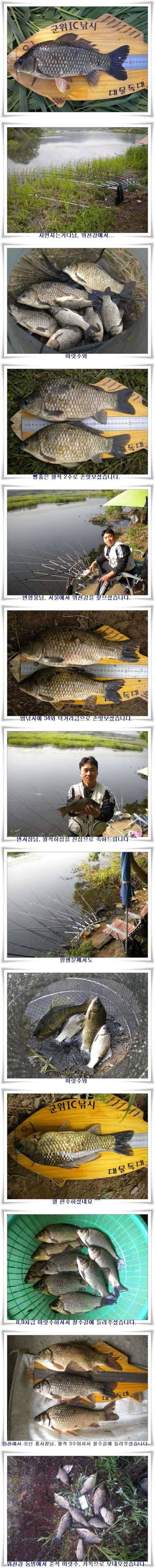 꾸준한 호조황이 (조황조행기 - 특파원조황)