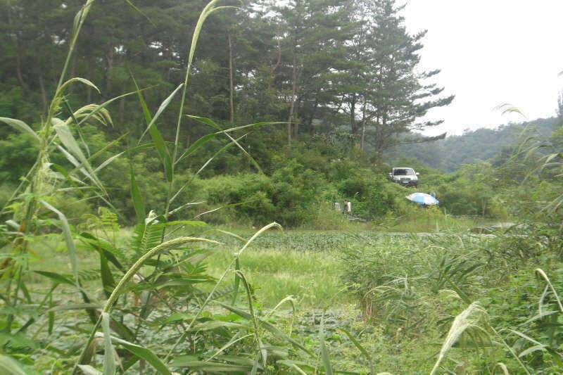 악조건의낚시 (조황조행기 - 특파원조황)