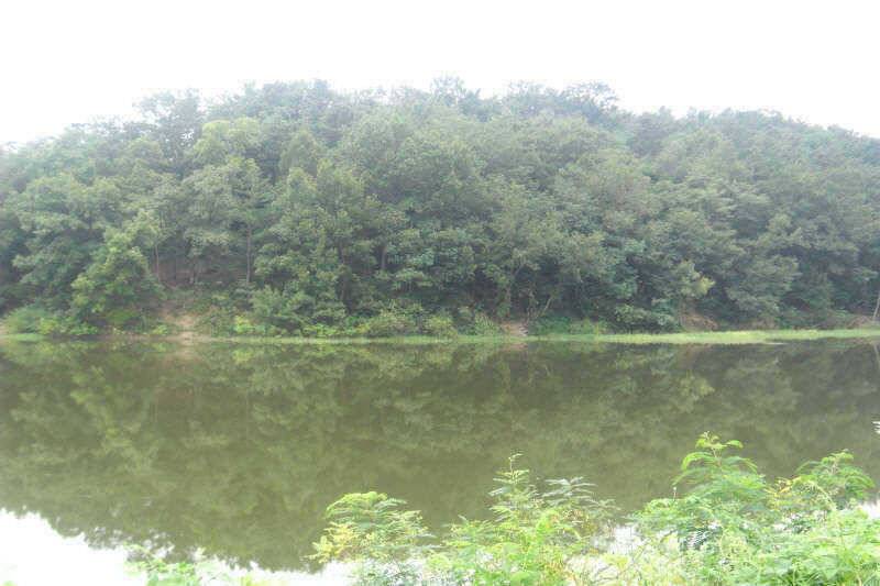 악조건의낚시 (조황조행기 - 특파원조황)