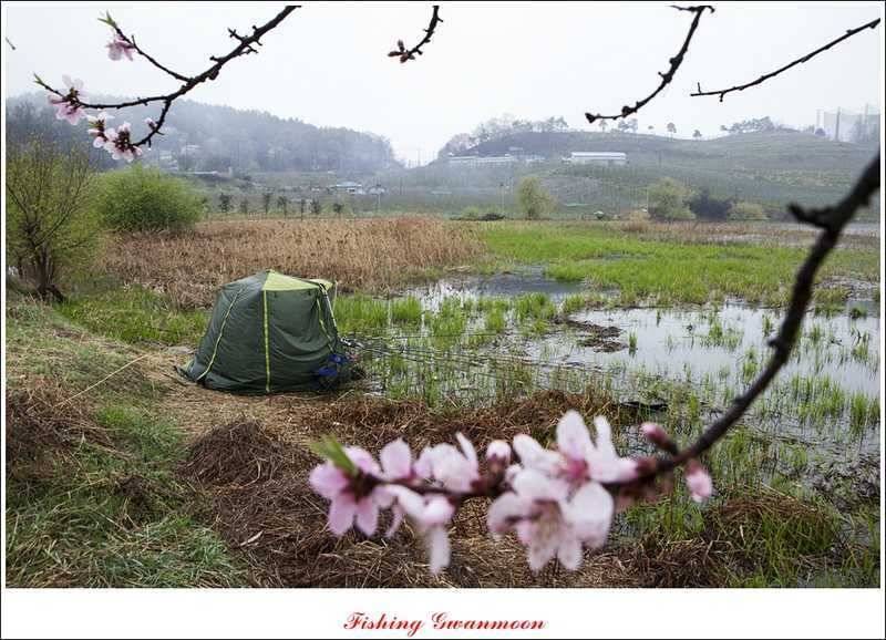 함지매전지칠성지 조황 (조황조행기 - 특파원조황)