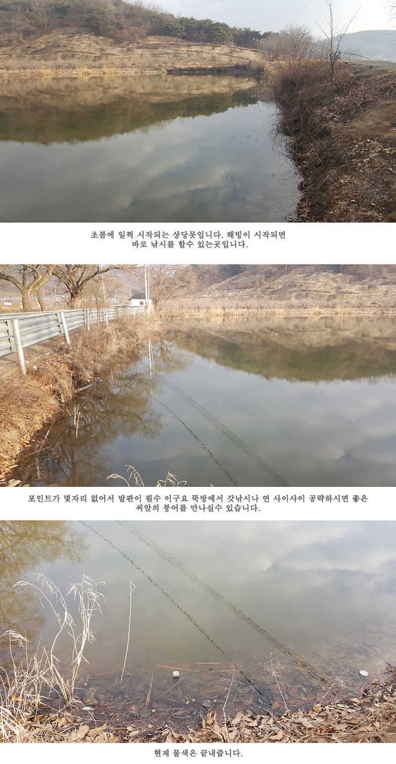청도권 물낚시 조황입니다 (조황조행기 - 특파원조황)