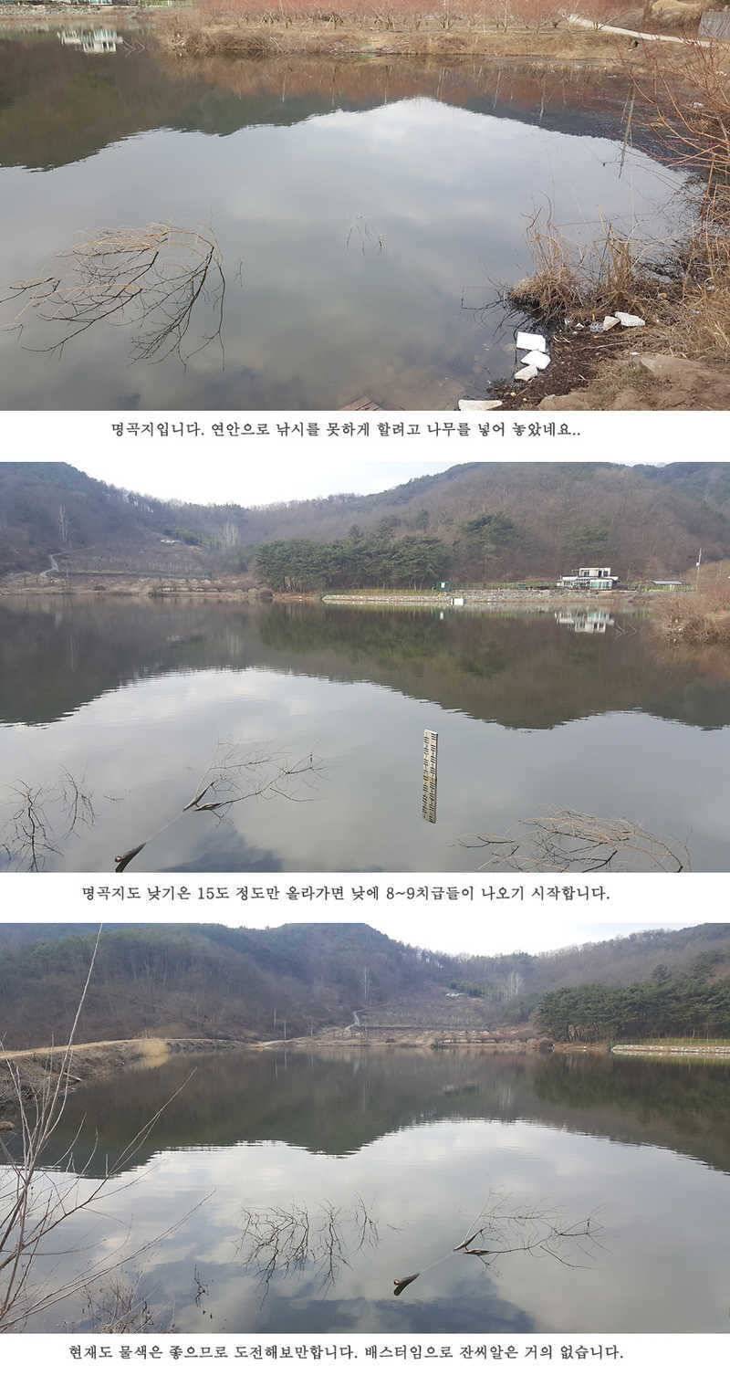 청도권 물낚시 조황입니다 (조황조행기 - 특파원조황)