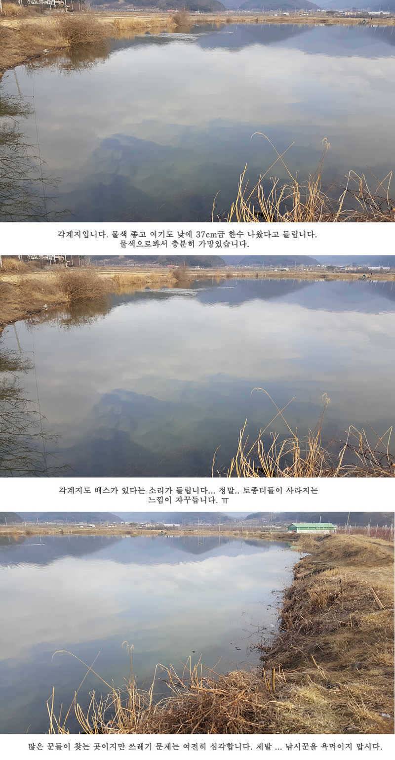 청도권 물낚시 조황입니다 (조황조행기 - 특파원조황)